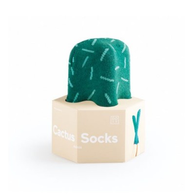 cactus-socks_astro_01_02-1-500×500